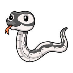 Fototapeta premium Cute axanthic ball python cartoon
