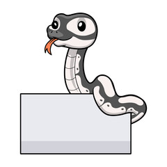 Cute axanthic ball python cartoon with blank sign