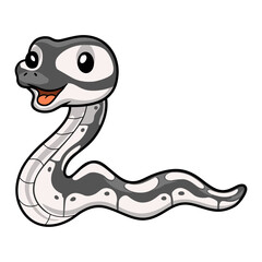 Fototapeta premium Cute axanthic ball python cartoon