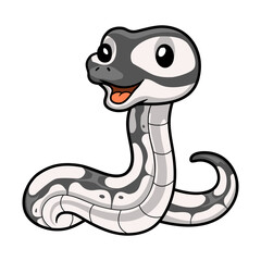 Cute axanthic ball python cartoon