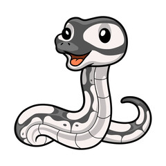 Fototapeta premium Cute axanthic ball python cartoon
