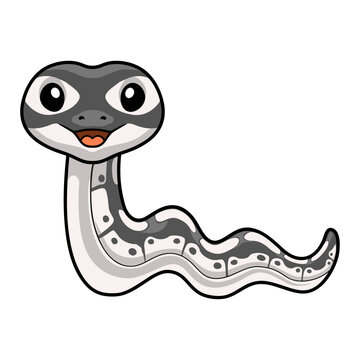 Cute axanthic ball python cartoon