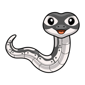Cute axanthic ball python cartoon