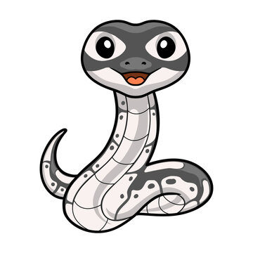 Cute axanthic ball python cartoon