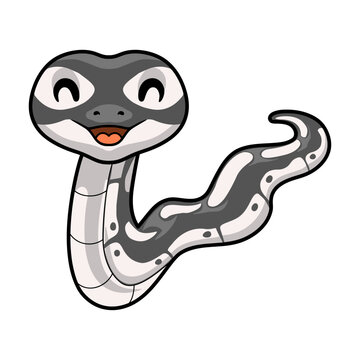 Cute axanthic ball python cartoon
