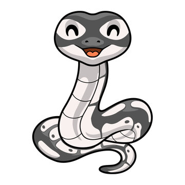Cute axanthic ball python cartoon