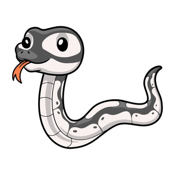Cute axanthic ball python cartoon