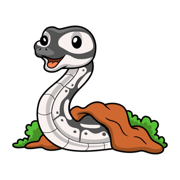 Cute axanthic ball python cartoon out from hole