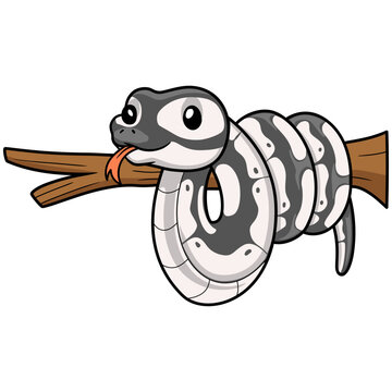 Cute axanthic ball python cartoon on tree branch