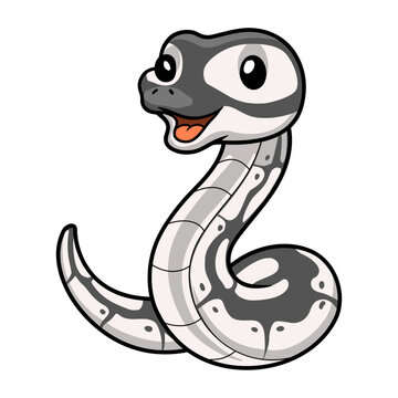 Cute axanthic ball python cartoon