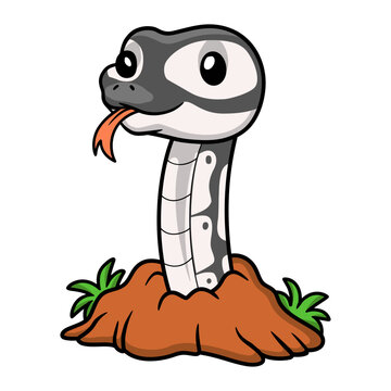 Cute axanthic ball python cartoon out from hole