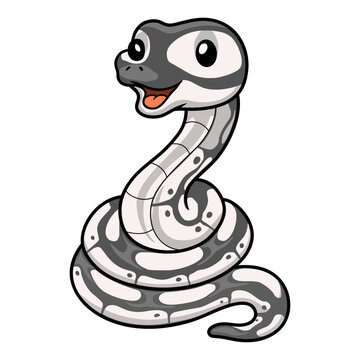 Cute axanthic ball python cartoon