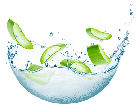 Aloe vera slices and hemisphere water splash