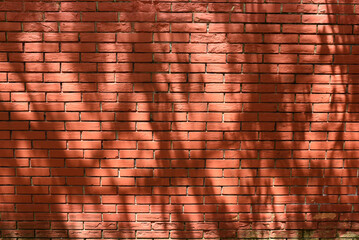 red brick wall, texture pattern with tree shadows. Masonry brick with red bricks. Graphic resource