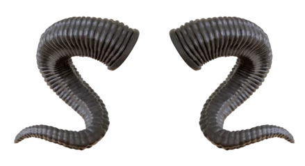Foto op Plexiglas Devil animal horn and horns isolated.  PNG transparency  © POSMGUYS
