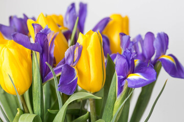 Fototapeta premium A bouquet of yellow tulips and purple irises on a white isolated background. The concept of the onset of spring and International Women's Day on March 8.