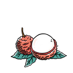 lychee doodle