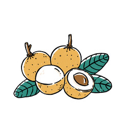 longan doodle