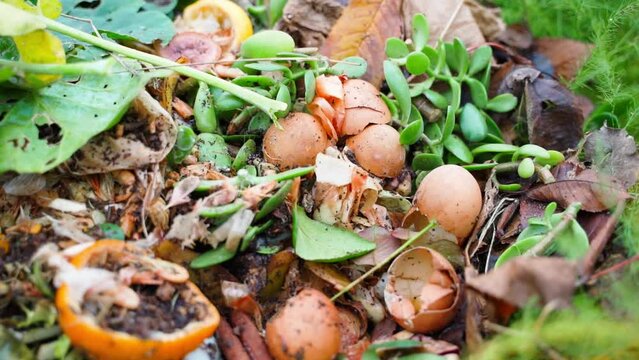 Smooth camera movement over a compost heap close-up. Various biodegradable human waste. Sorted organic waste