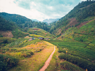 Landscape of Angkhang mountain