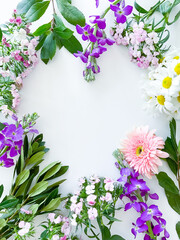dianthus, gerbera, chamomile, laur. floral a frame