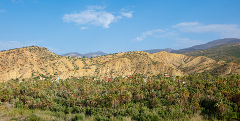 Moroccan landscape, mountain and palm tree- Agadir province