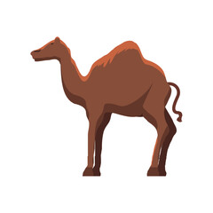 camel icon in brown color Ramadan and Islamic Eid