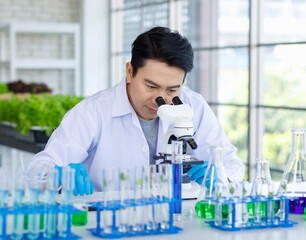 Asian professional male scientist researcher in white lab coat and rubber gloves sitting using microscope inspecting quality of vegetable in laboratory