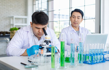 Asian professional male scientist researcher in white lab coat and rubber gloves sitting using microscope inspecting quality of vegetable in laboratory while colleague typing data in laptop computer