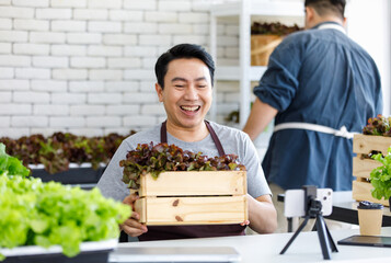 Millennial Asian professional male farmer gardener in apron holding fresh raw organic green leaf salad vegetable in wooden crate talking selling online via smartphone live streaming via internet