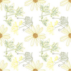 Pattern margherite e foglie isolato su sondo bianco