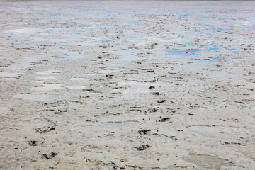 the bottom of the sea at low tide, traces of human feet