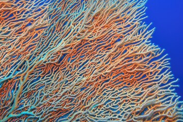 Abstract background . Organic texture of Pink Sea Fan or Gorgonia coral (Annella mollis)