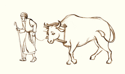 A man leads an ox for sacrifice. Pencil drawing