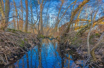 Image of a small river course in a forest with reflections