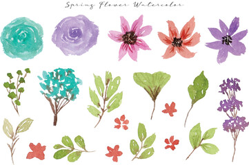 a set of cute spring wild flower and leaf watercolor