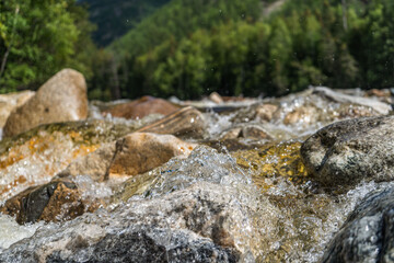 Mountain river flowing through the green forest