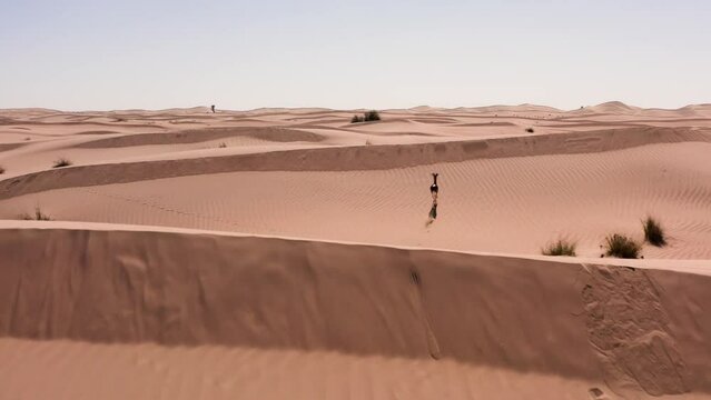 gazelle in the Dubai desert