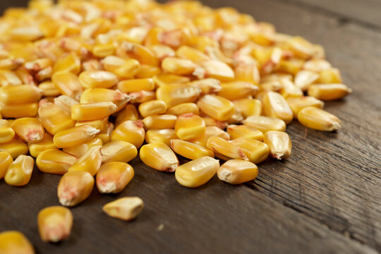 Close-up of corn kernels on wooden table