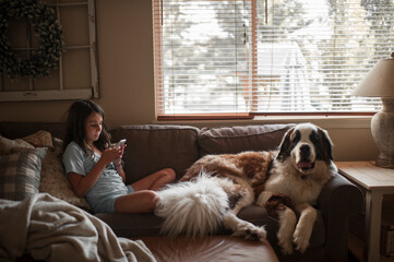 Girl using mobile phone while sitting with Saint Bernard on couch at home