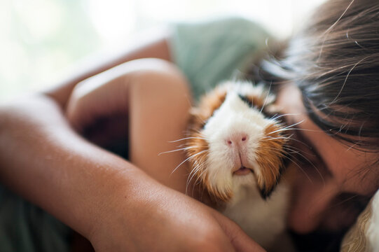 Close-up of girl embracing guinea pig while lying at home