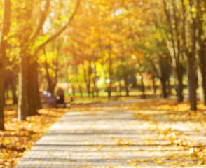 Autumn golden park, blurred background.