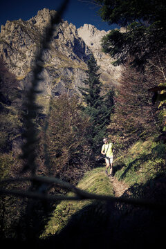 Man hiking on mountain in forest during sunny day