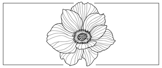 Black and white vector illustration of a flower for covers, backgrounds, presentations, coloring books