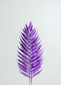 Purple Painted Decorative Leaves