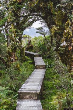 Hiking Lord Of The Rings