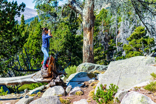 Side view of female hiker looking through binoculars while standing in forest during sunny day