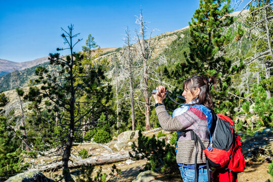 Side view of female hiker photographing with camera while standing against trees in forest during sunny day