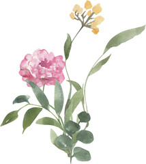Spring bouquets of flowers watercolor, flower paintings.