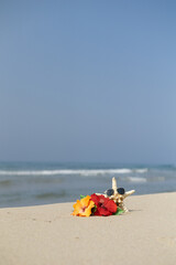 ビーチとハイビスカス